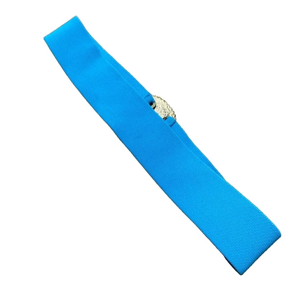 Vintage Wide Stretch Belt Brilliant Blue Massive Textured Goldtone Buckle 1980’s